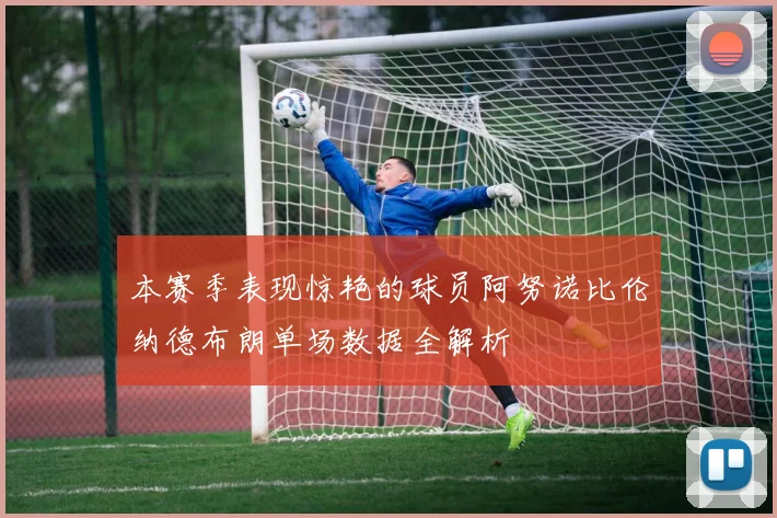 本赛季表现惊艳的球员阿努诺比伦纳德布朗单场数据全解析
