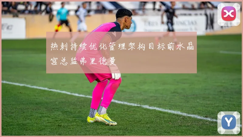 热刺持续优化管理架构目标前水晶宫总监弗里德曼
