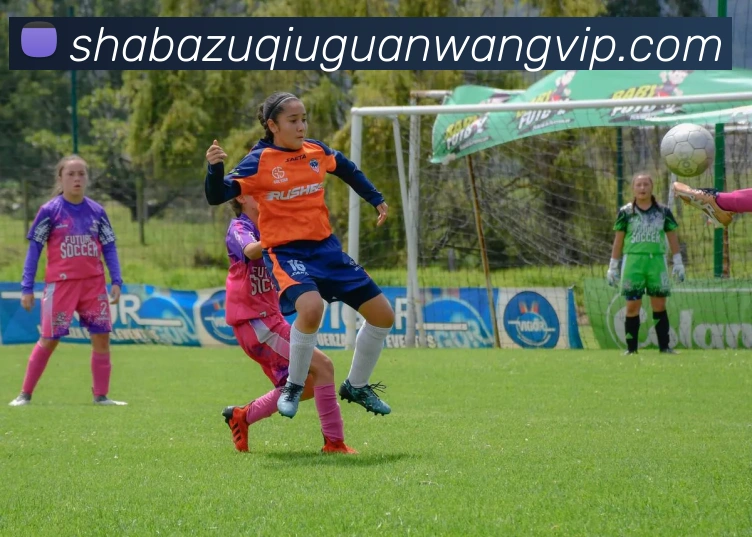 沙巴体育平台生态图